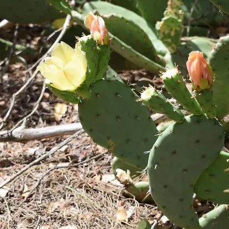 Casa vacanze Le Des écureuils *